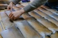 Ein Kürschner legt die Anordnung der Felle fest.