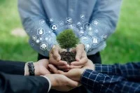 Drei Hände halten gemeinsam einen Ki-generierten Baum in der Hand. 