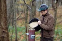 Ein Revierjäger sorgt dafür, dass die Tiere im Revier im Winter genügend Futter haben.